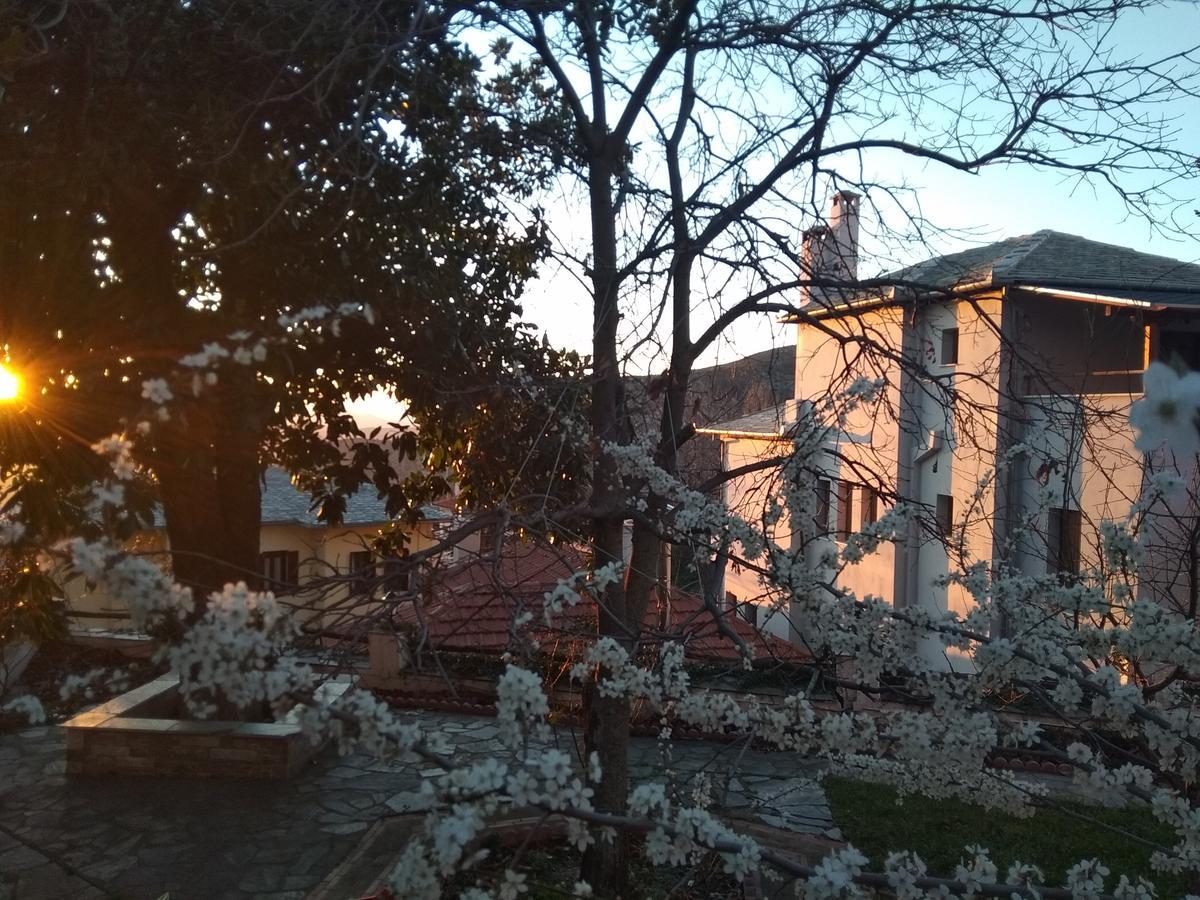 Archontiko Kantartzi Portaria  Exterior photo